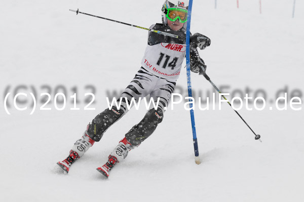 1. Landescup I VSL