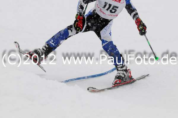 1. Landescup I VSL