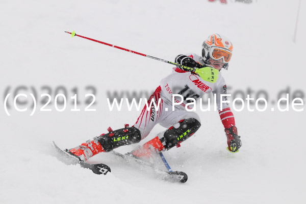 1. Landescup I VSL