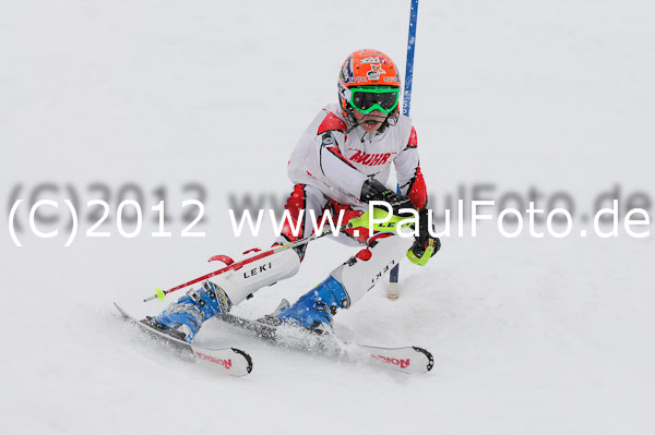 1. Landescup I VSL