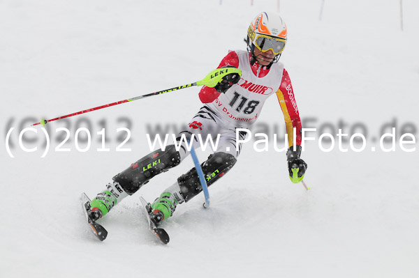 1. Landescup I VSL