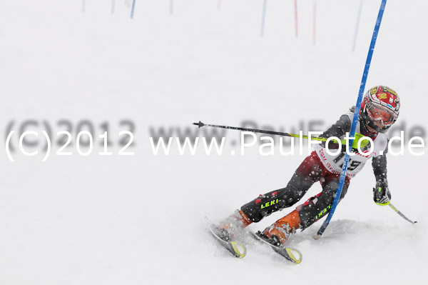 1. Landescup I VSL