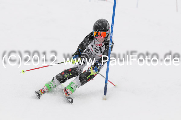 1. Landescup I VSL