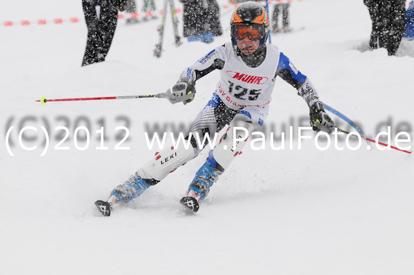 1. Landescup I VSL