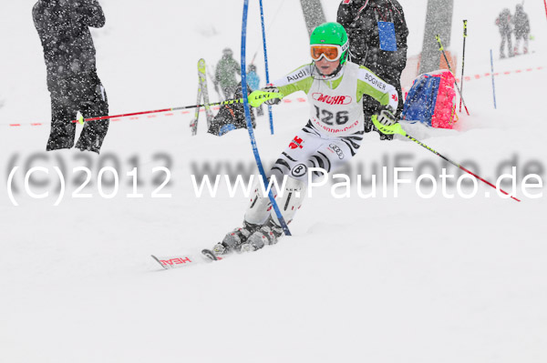 1. Landescup I VSL