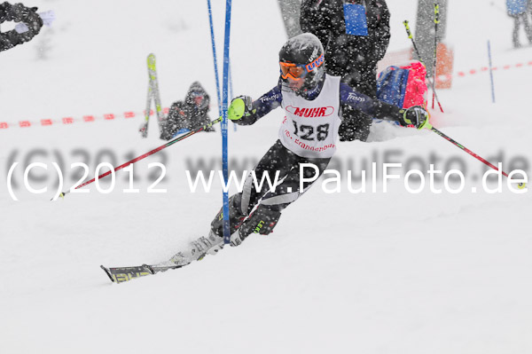 1. Landescup I VSL