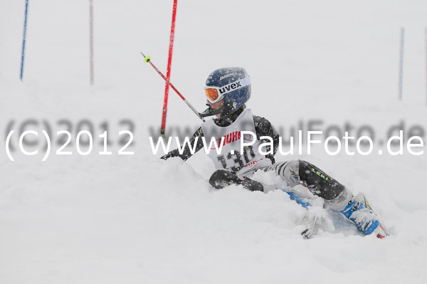 1. Landescup I VSL