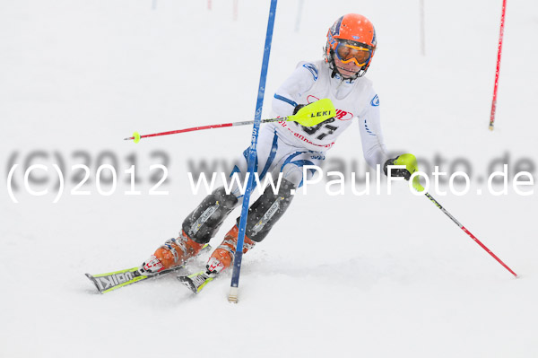 1. Landescup I VSL