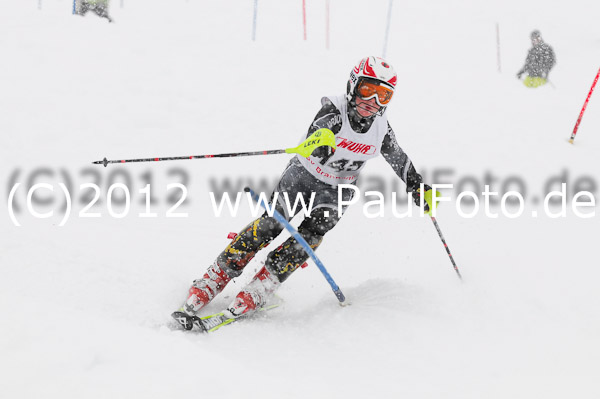 1. Landescup I VSL