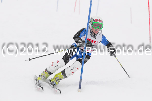 1. Landescup I VSL