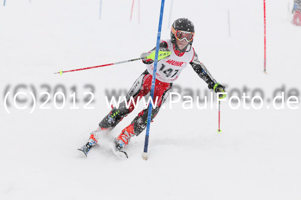 1. Landescup I VSL