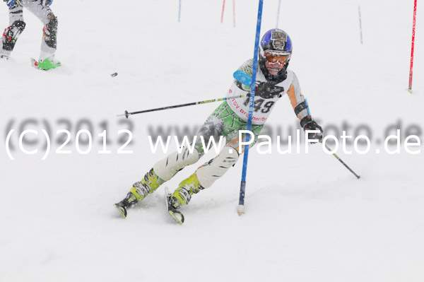 1. Landescup I VSL