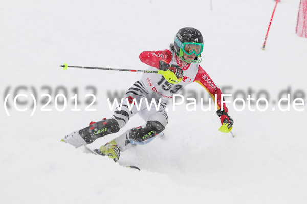 1. Landescup I VSL