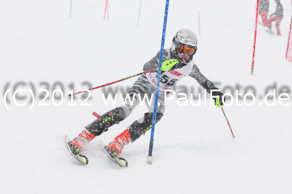 1. Landescup I VSL