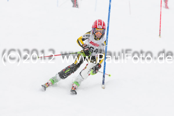 1. Landescup I VSL