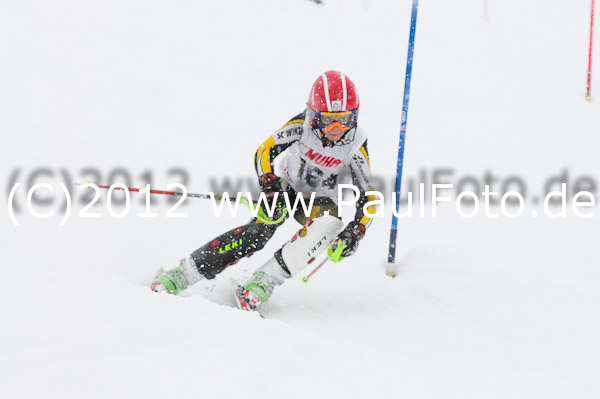 1. Landescup I VSL