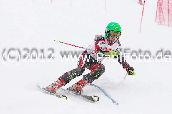 1. Landescup I VSL
