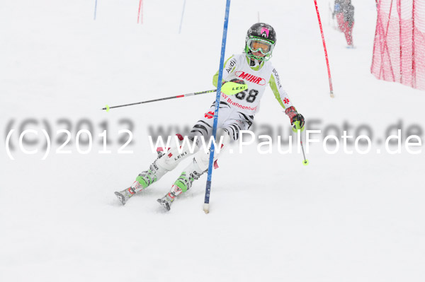 1. Landescup I VSL