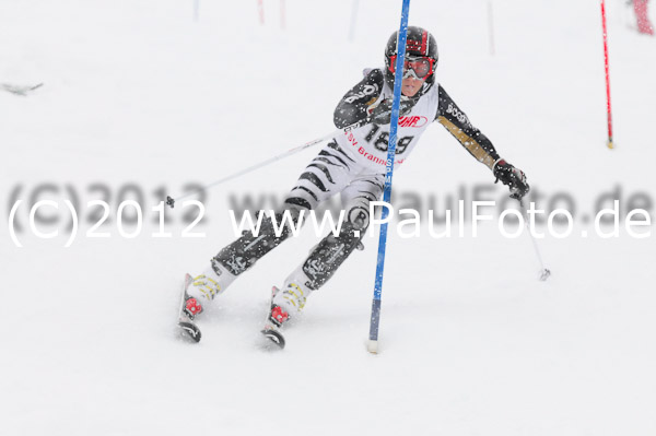 1. Landescup I VSL