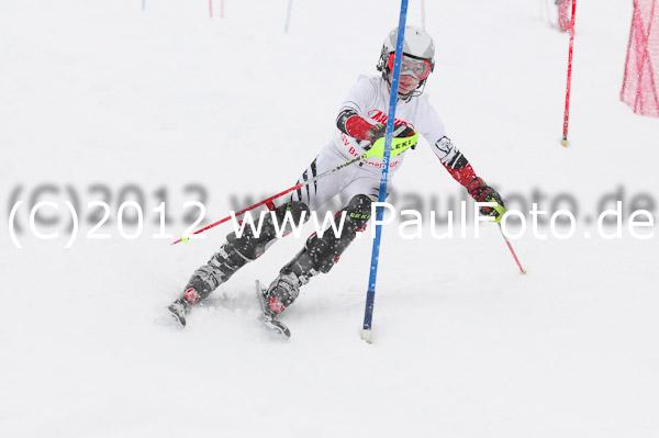 1. Landescup I VSL