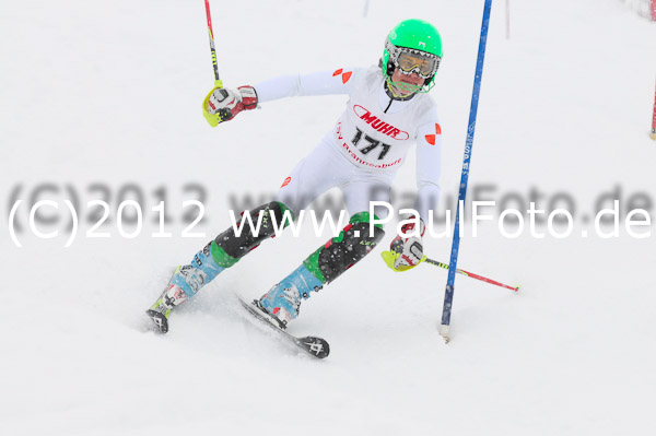 1. Landescup I VSL