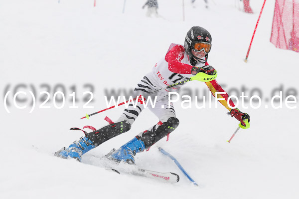 1. Landescup I VSL