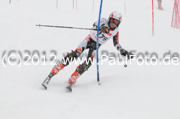 1. Landescup I VSL