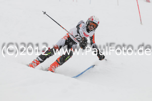 1. Landescup I VSL