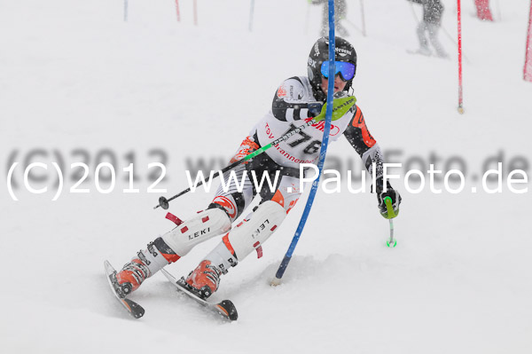 1. Landescup I VSL