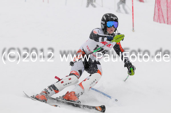 1. Landescup I VSL