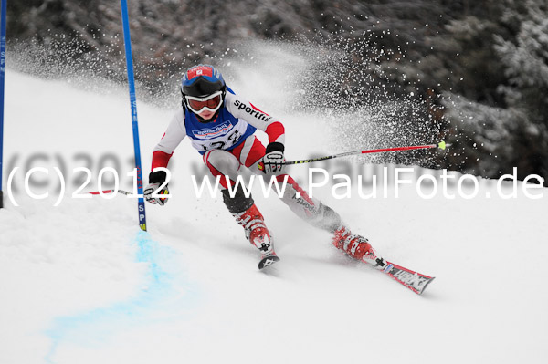 3. Sparda-Bank Zugspitz Cup 2012