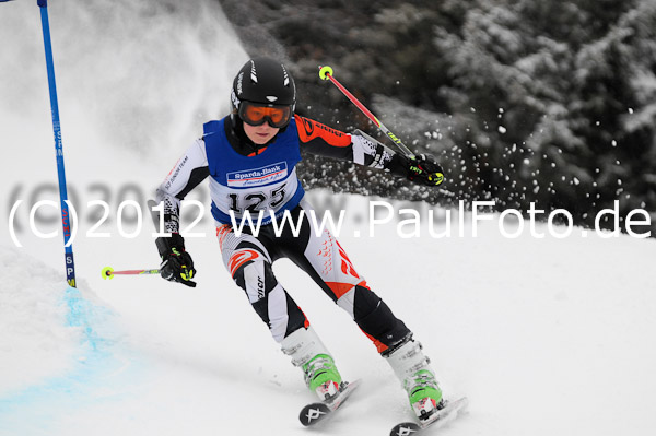 3. Sparda-Bank Zugspitz Cup 2012