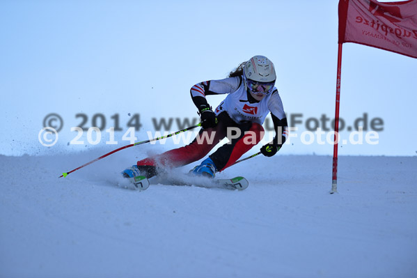 4. BZB Cup 2014