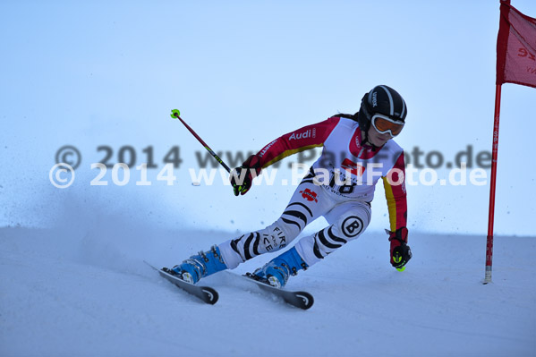 4. BZB Cup 2014
