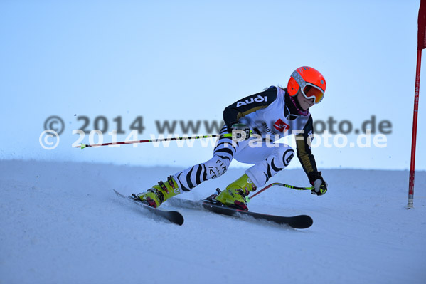 4. BZB Cup 2014