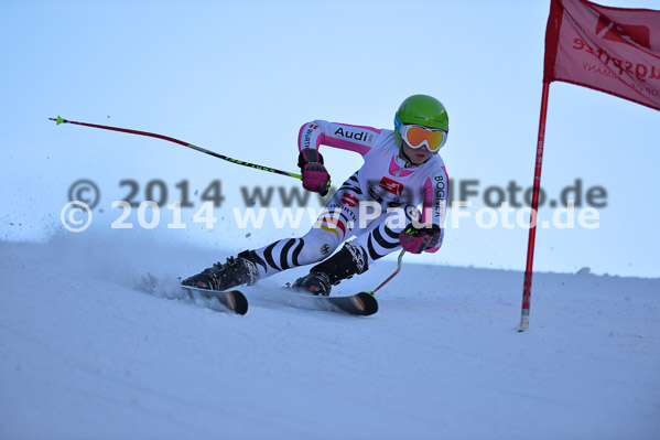 4. BZB Cup 2014