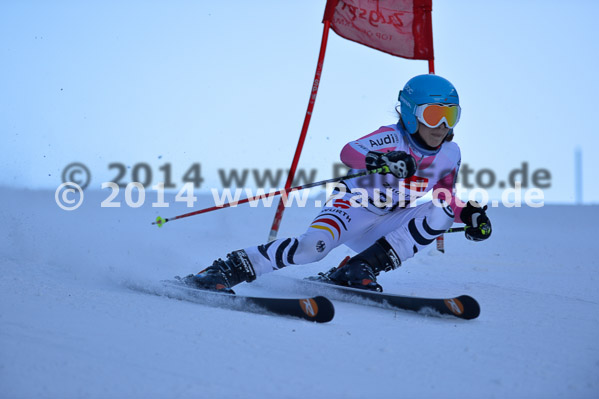4. BZB Cup 2014