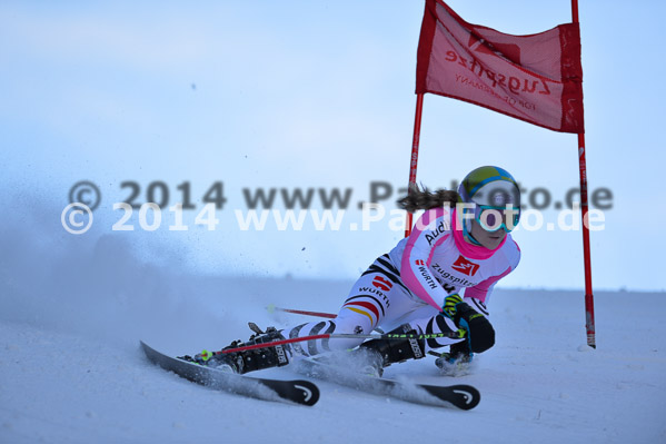 4. BZB Cup 2014
