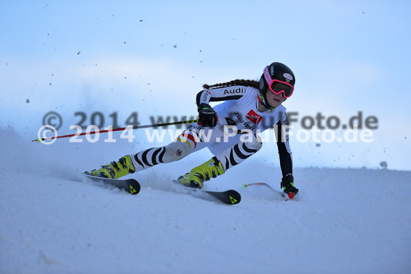 4. BZB Cup 2014