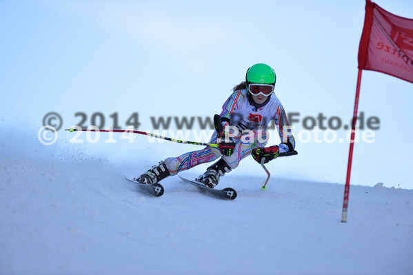 4. BZB Cup 2014