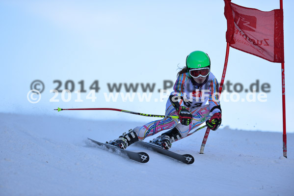 4. BZB Cup 2014