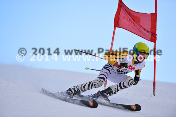 4. BZB Cup 2014