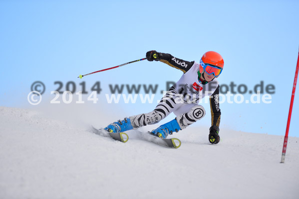 4. BZB Cup 2014