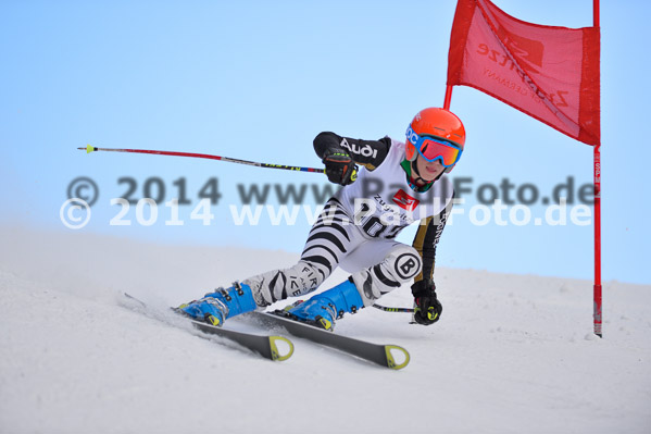 4. BZB Cup 2014