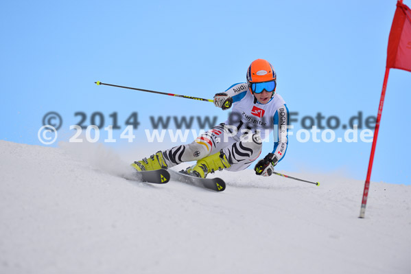 4. BZB Cup 2014