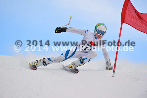 4. BZB Cup 2014
