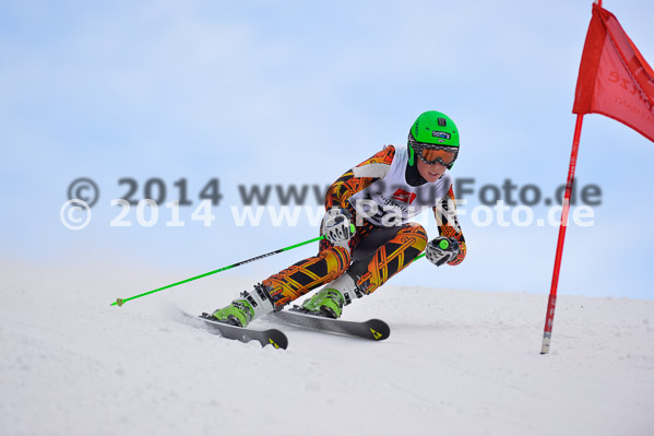 4. BZB Cup 2014
