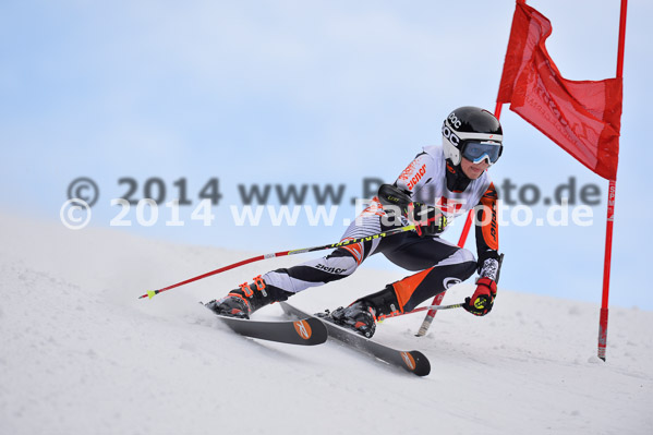 4. BZB Cup 2014