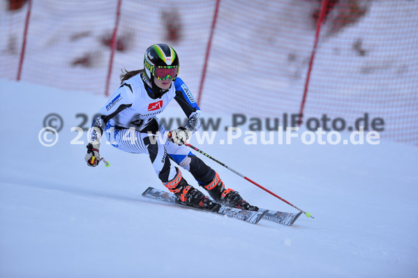 4. BZB Cup 2014
