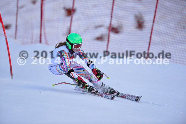 4. BZB Cup 2014